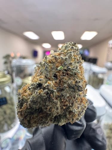 THCA In Texas Listing Grabuds