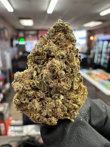 THCA In Texas Listing Poca Mota