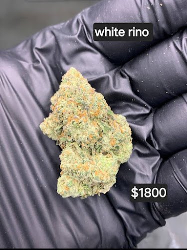 THCA In Texas Listing Regiment Wholesalers Inc