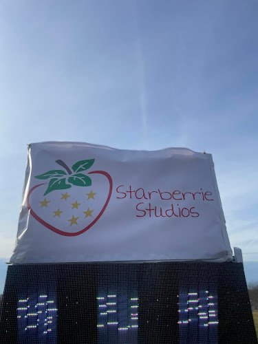 Texas Cannabis Directory - Starberrie Studios