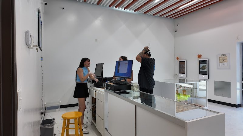 Discovering Ten Ten Dispensary: A Top Choice for Cannabis Enthusiasts in Dallas, TX