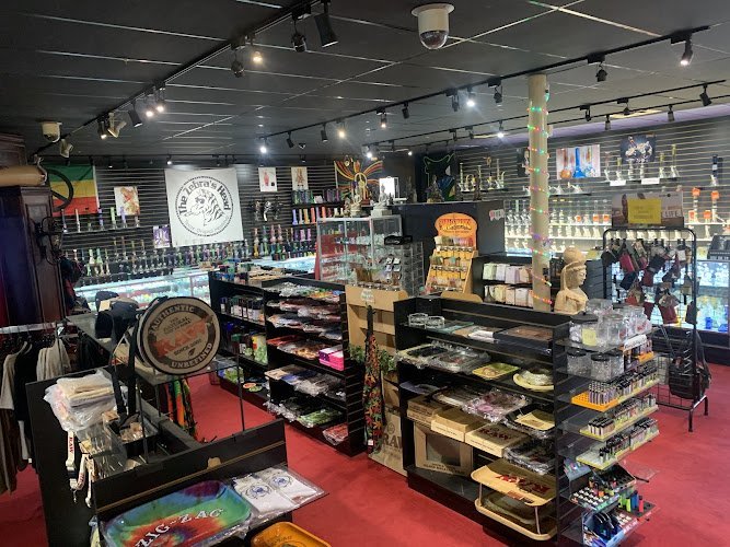 Exploring The Zebra’s Head House of Glass: A Legacy of Texas’ First Head Shop