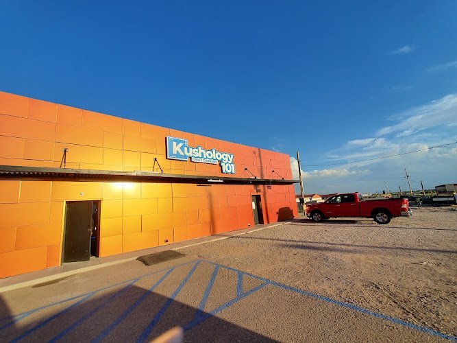  Kushology 101 Dispensary Anthony: Texas Cannabis Store Spotlight
